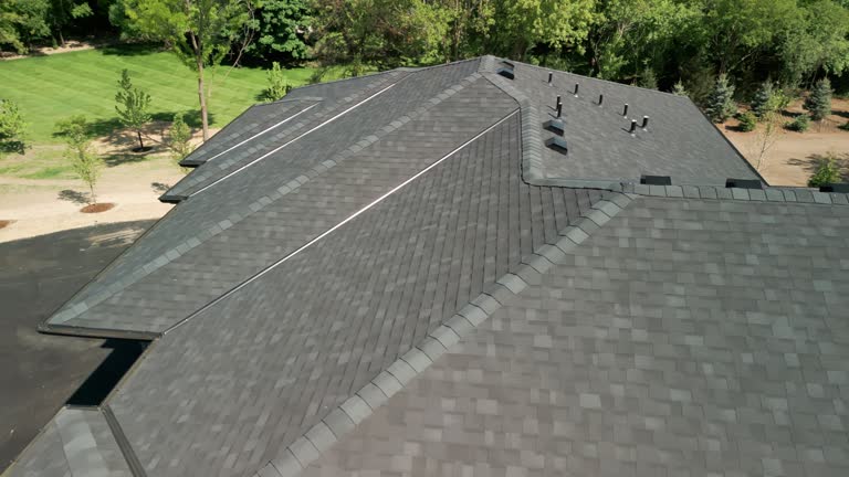 Best Solar Panel Roofing Installation  in Indnola, IA